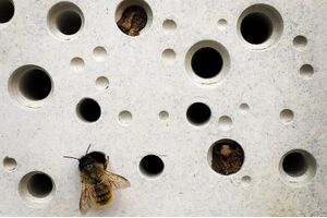 Domki dla pszczół Bee Brick