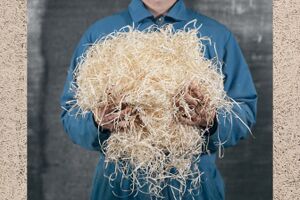 Zrównoważony design, organiczne panele akustyczne BAUX