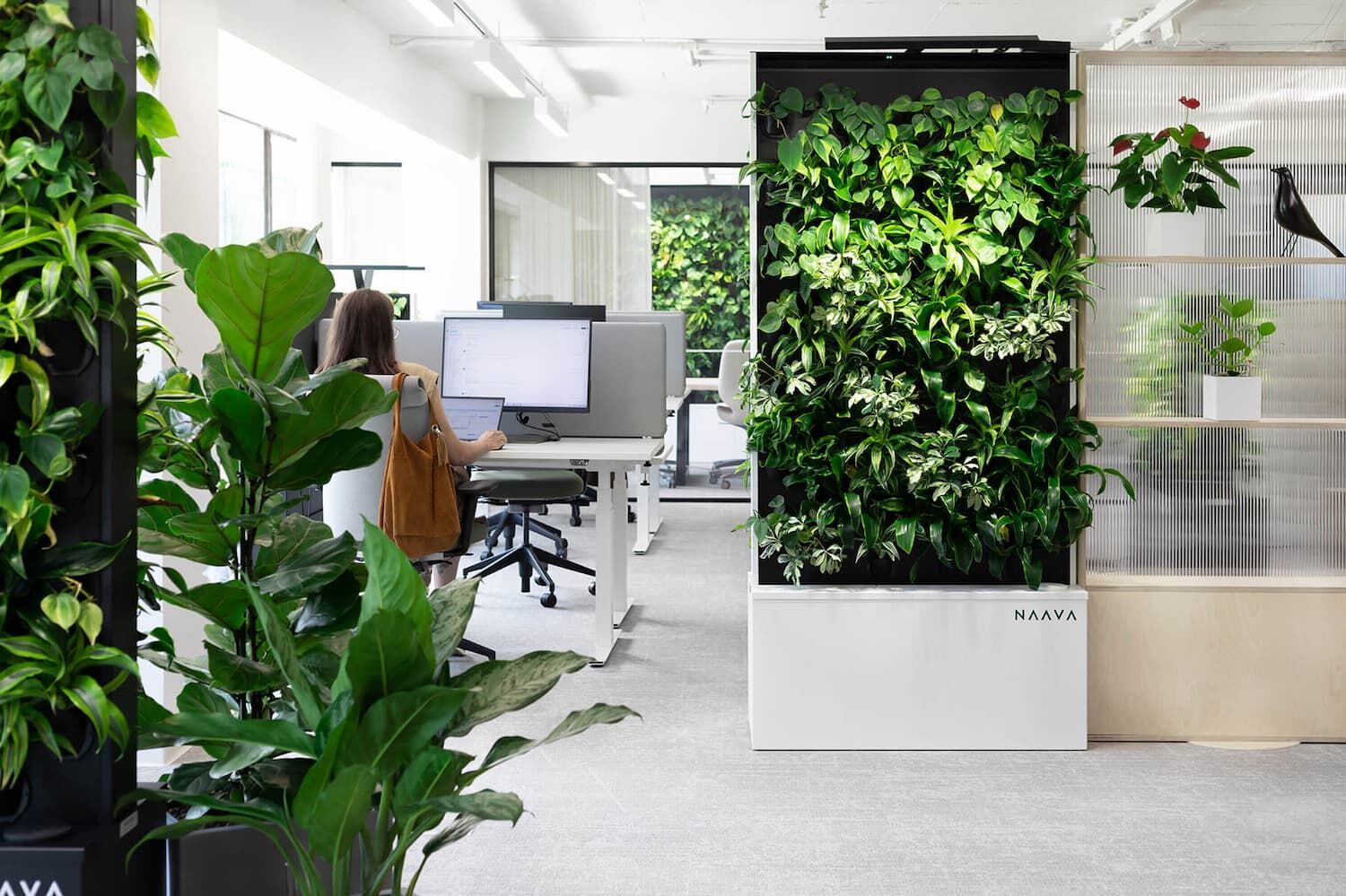 Projektowanie biofilne Naava