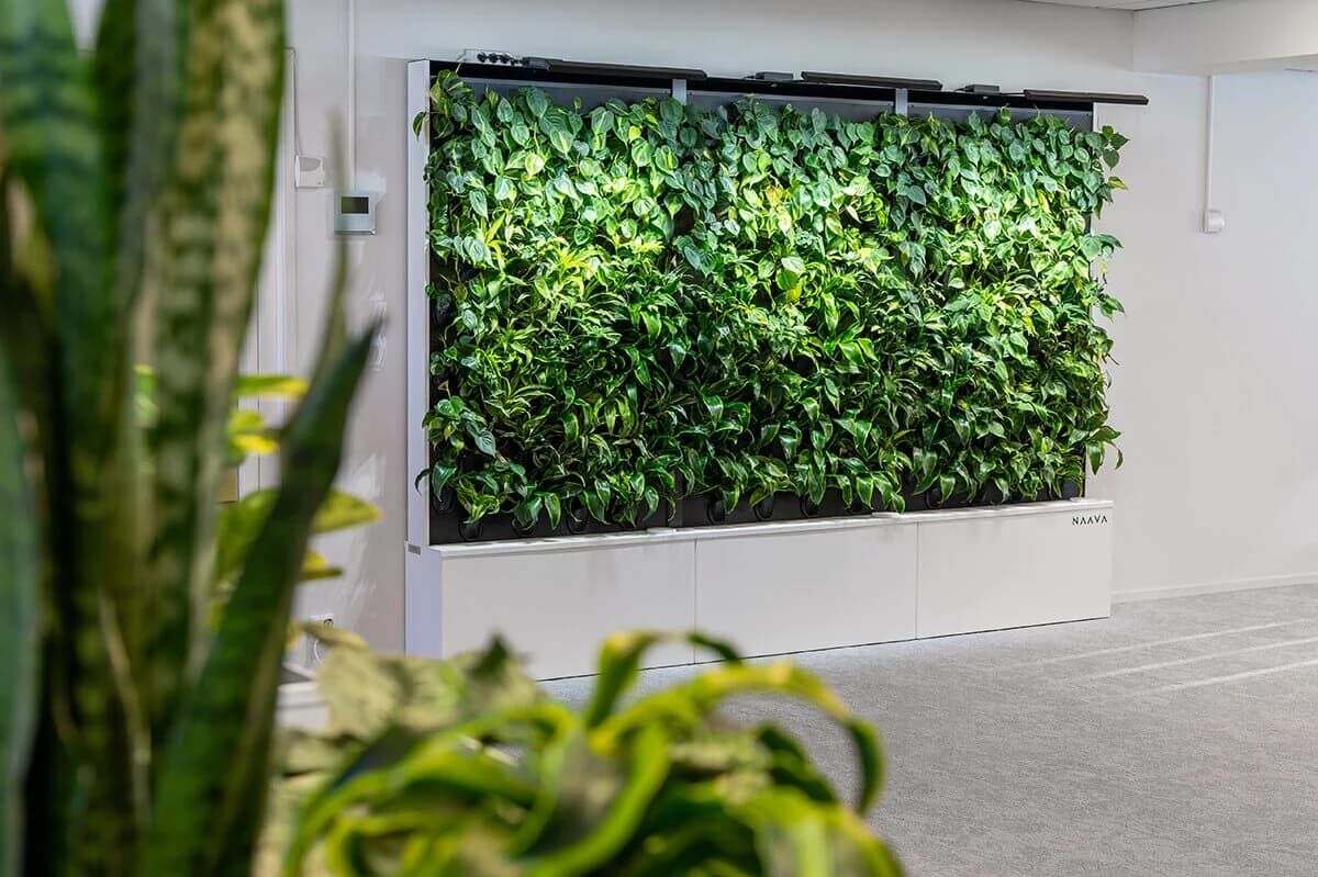Projektowanie biofilne w miejscu pracy Naava
