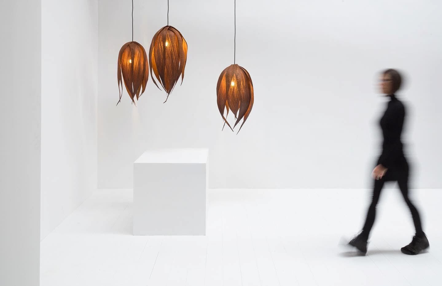 Biophilic design  Let’s Pause