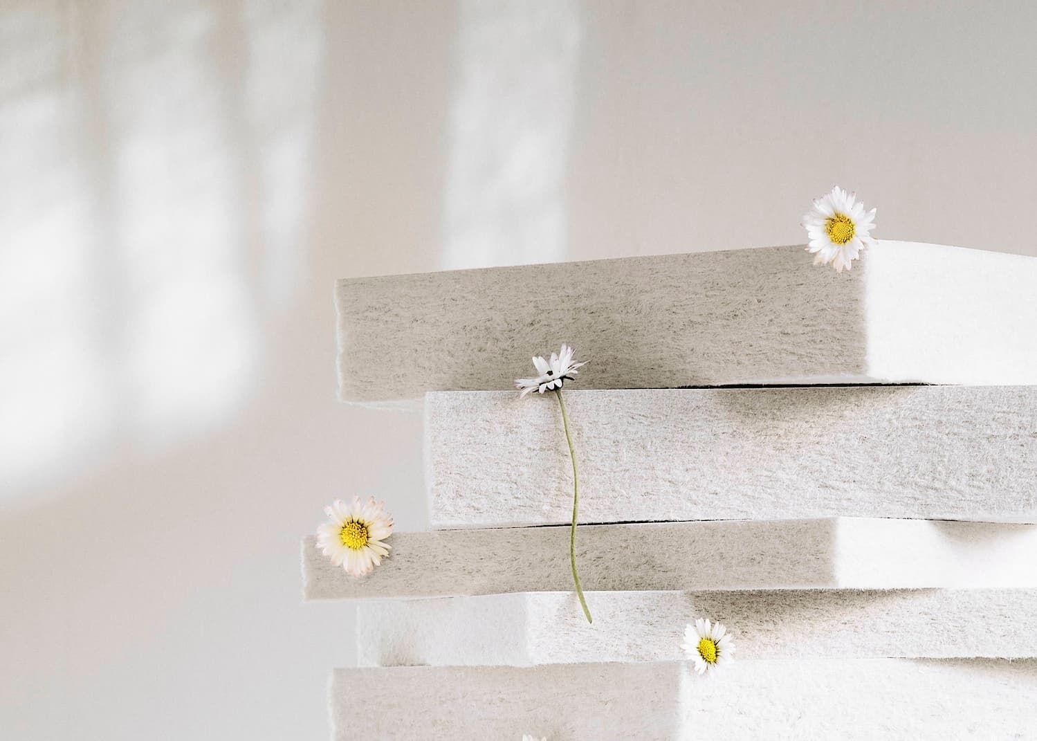 Ekologiczne materiały akustyczne z pulpy drzewnej Aisti