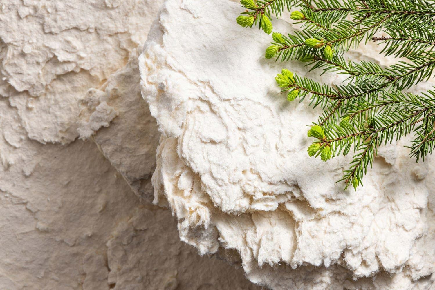 Zrównoważone materiały w architekturze 