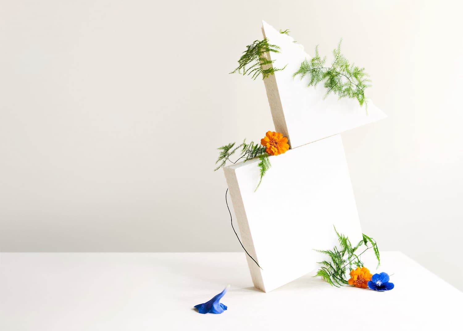 Zrównoważone materiały budowlane Aisti