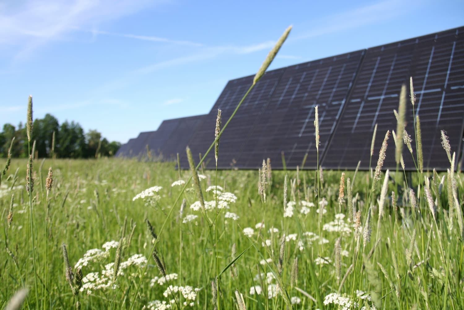 Systemy śledzenia słońca dla farm solarnych, pionowe trackery VajaTrack