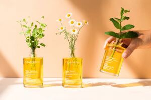 Eko kosmetyki CLARINS