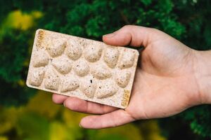 Biodegradowalne opakowania z odpadów przetwórstwa owoców morza SEAD