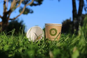 Opakowania papierowe dla gospodarki zrównoważonej EcoBarrier™