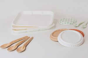 Opakowania z pulpy papierowej PulPac