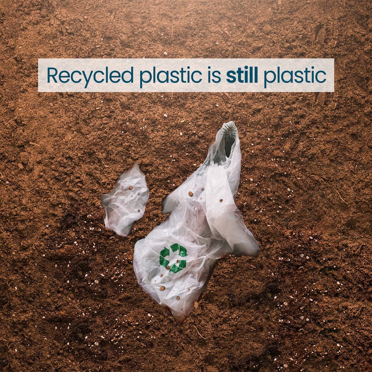 Opakowania kompostowalne Ecovia vs. plastik