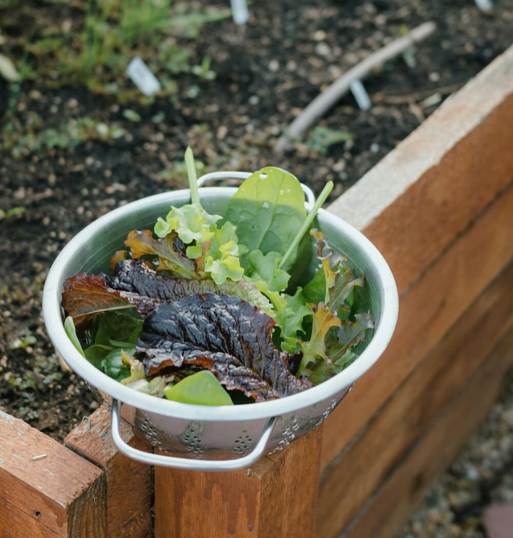 Neutralne dla środowiska i bezpieczne dla konsumentów kruszywo Arqlite Smart Gravel