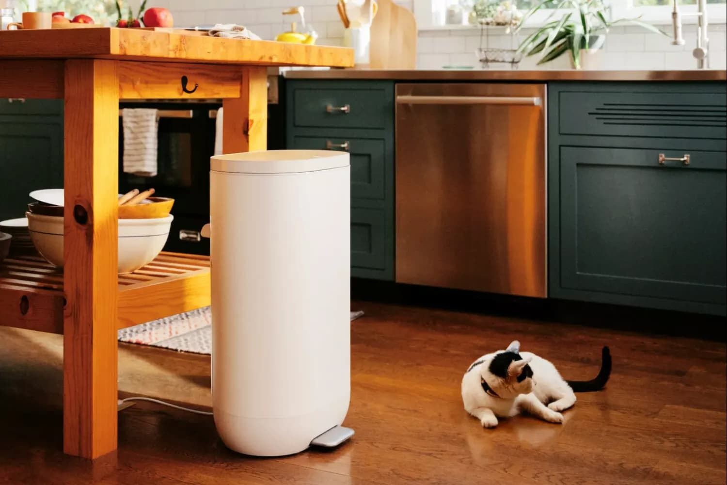 Kompostowanie w warunkach domowych sprzyja ograniczeniu marnowania żywności