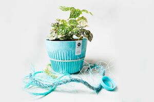 Recykling plastiku z mórz i oceanów Ecotribo