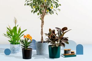 Doniczki z odzysku RE:POTS