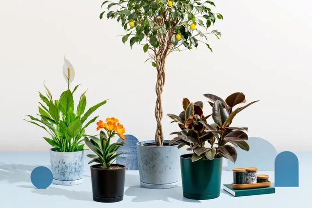 Recykling plastiku, doniczki z odzysku RE:POTS