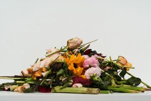 Flower Matter - eko materiały z kwiatów