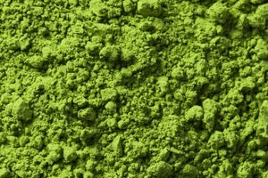 Algae-C biofabryka mikroalg