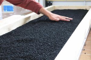 Biowęgiel Made of Air