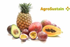 Ekologiczne powłoki ochronne na owoce i warzywa AgroSustain