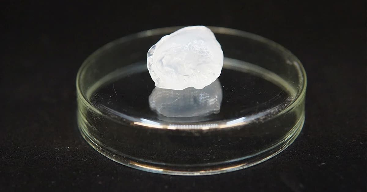 Zaawansowana celuloza w technologii FineCell