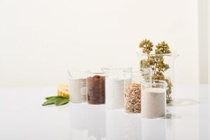 Ekologiczne tworzywa na bazie roślin Evoco