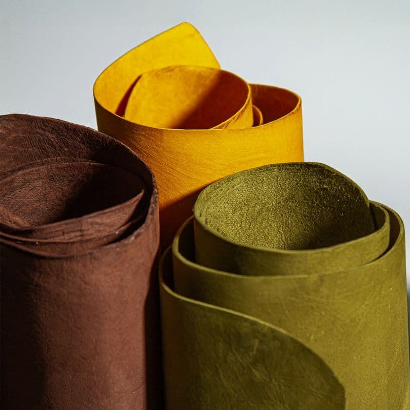 Materiał z grzybni Ephea w arkuszach