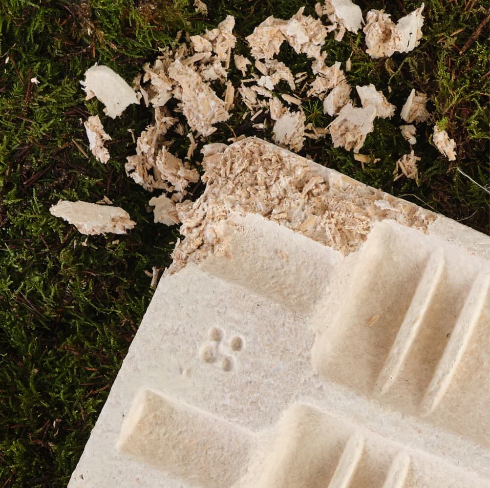 Magiczne grzyby w walce z plastikiem Magical Mushroom Company