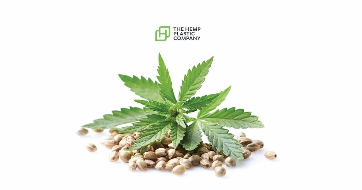 Konopie do produkcji biokompozytów i biotworzyw Hemp Plastic