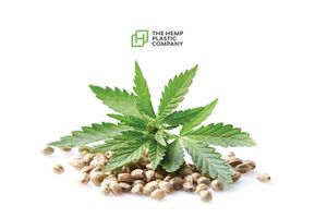 Ekologiczne tworzywa z konopii przemysłowych Hemp Plastic
