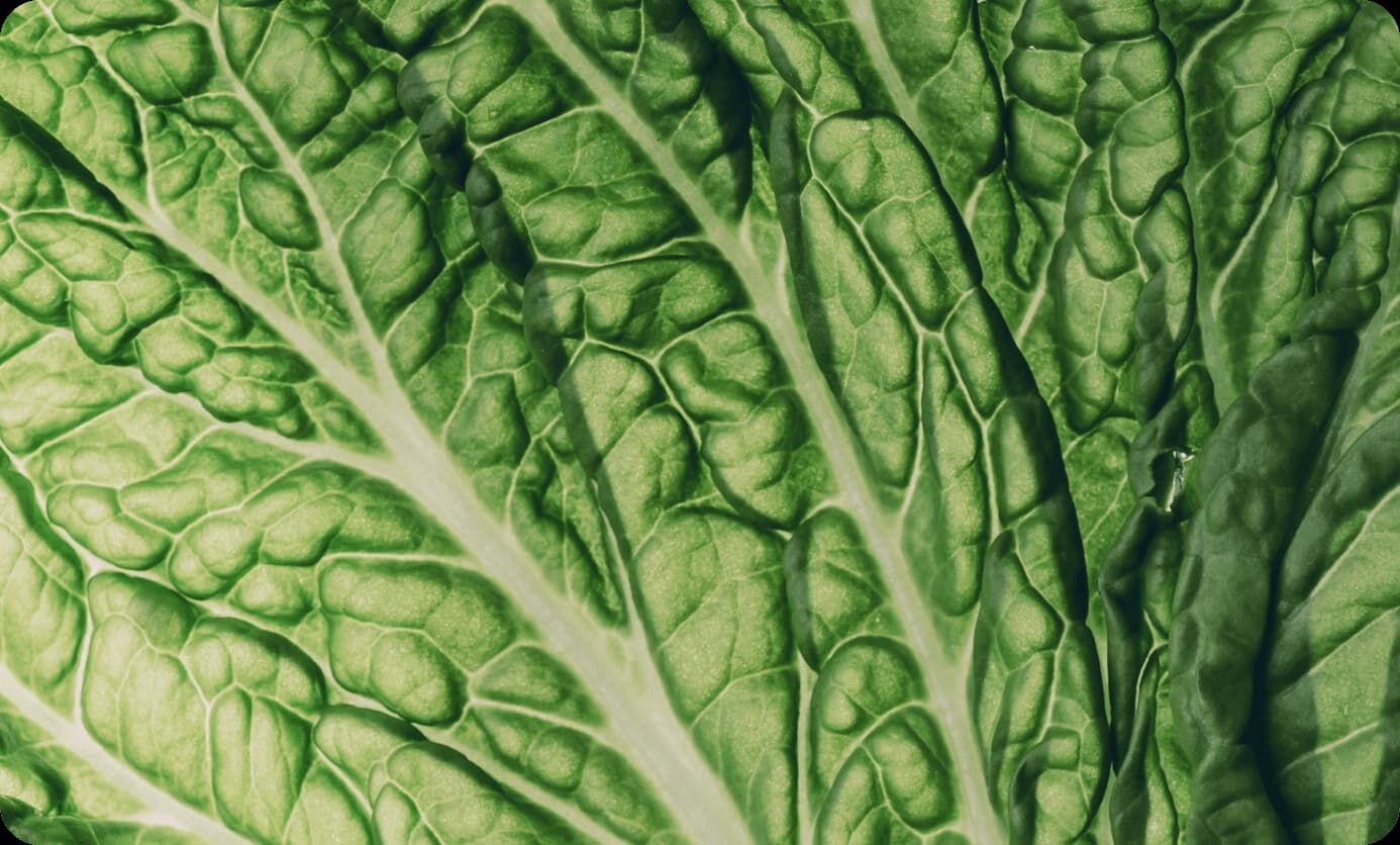 Leaf-aldehyde - naturalny aldehyd liściowy firmy Ardra otrzymywany metodą fermentacji precyzyjnej