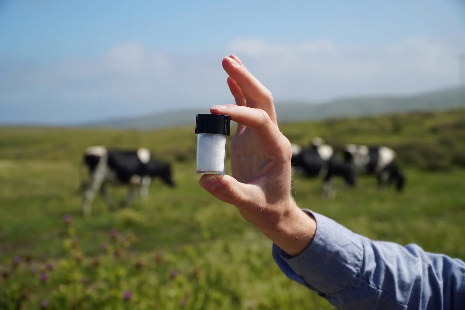 Ekologiczne dodatki paszowe Volta Greentech