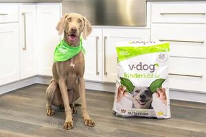 v-dog wegańska karma dla psów
