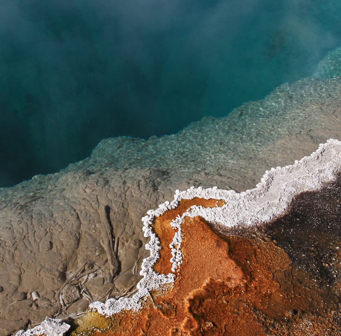 Mikroby z gorących źródeł parku Yellowstone