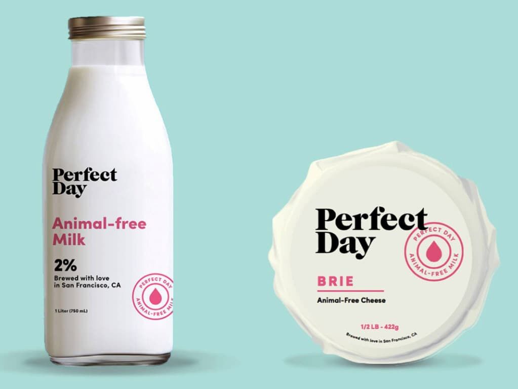 Białko mleczne bez krów ProFerm™ Perfect Day