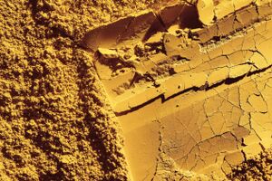 Solein® białko nowej generacji z labolatorium