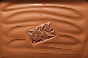 Czekolada bez kakao ChoViva marki Planet A Foods