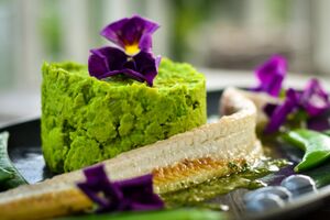 ForSea ryby i owoce morza z hodowli komórkowej