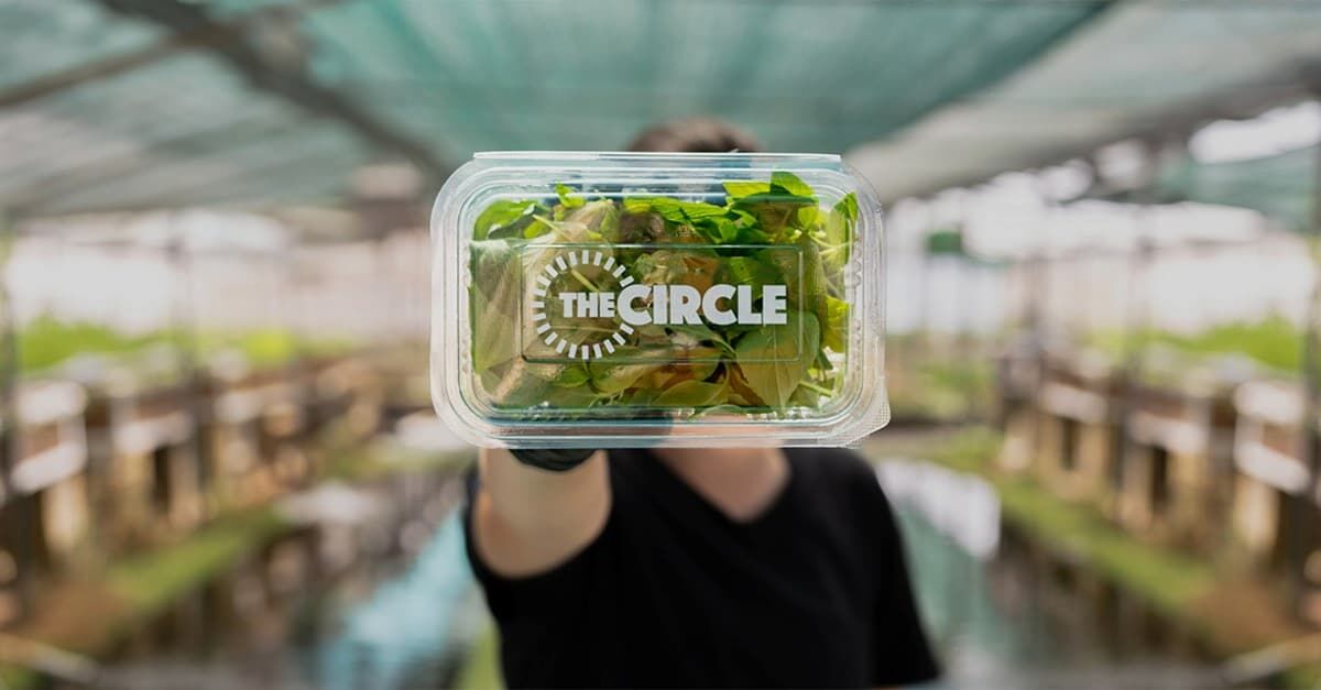 Akwaponika The Circle równoważona przyszłość rolnictwa