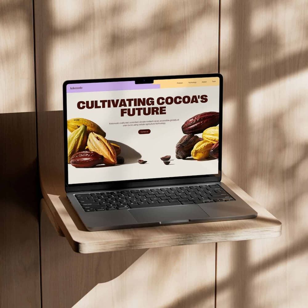 Kakao bez tradycyjnych upraw Kokomodo
