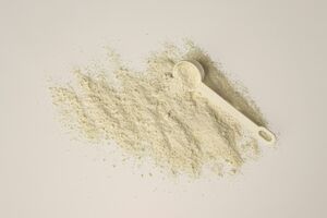 Alternatywne białko z powietrza Air Protein