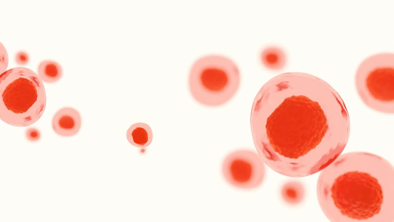 Mięso przyszłości bez hodowli zwierząt UPSIDE Foods