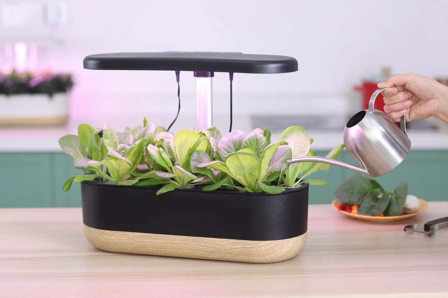 Domowe uprawy smart garden Litrax