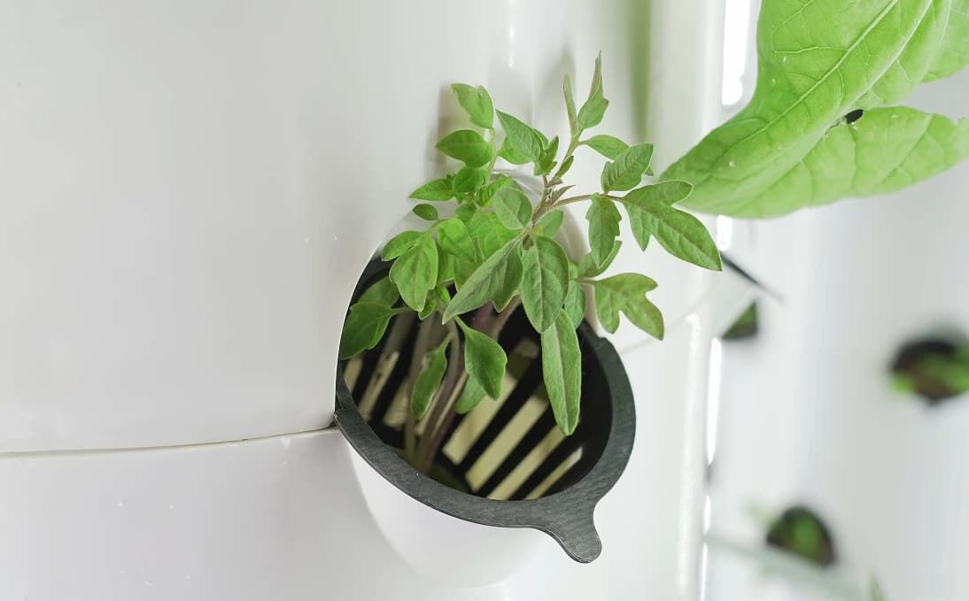 Innowacje dla gastronomii, farmy wertykalne Litrax