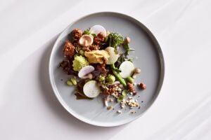 Alternatywne białko Solein Solar Foods