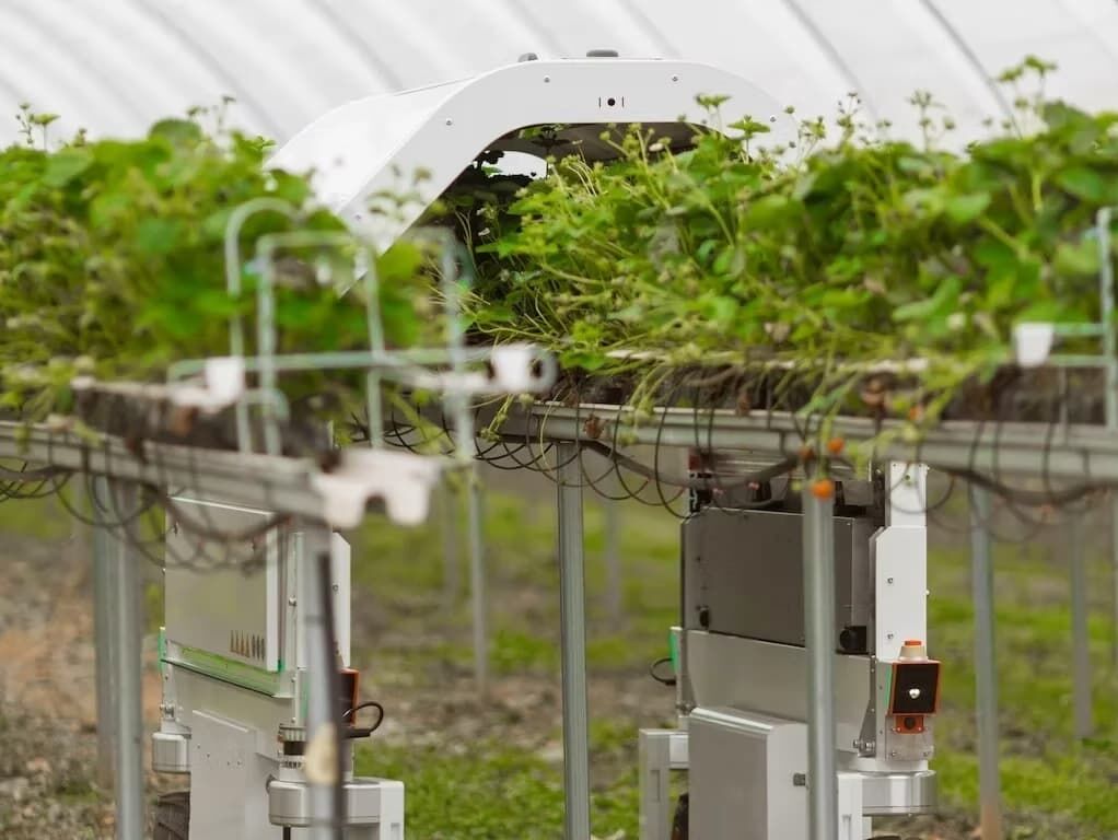 Zrównoważone rolnictwo dzięki robotom Saga Robotics