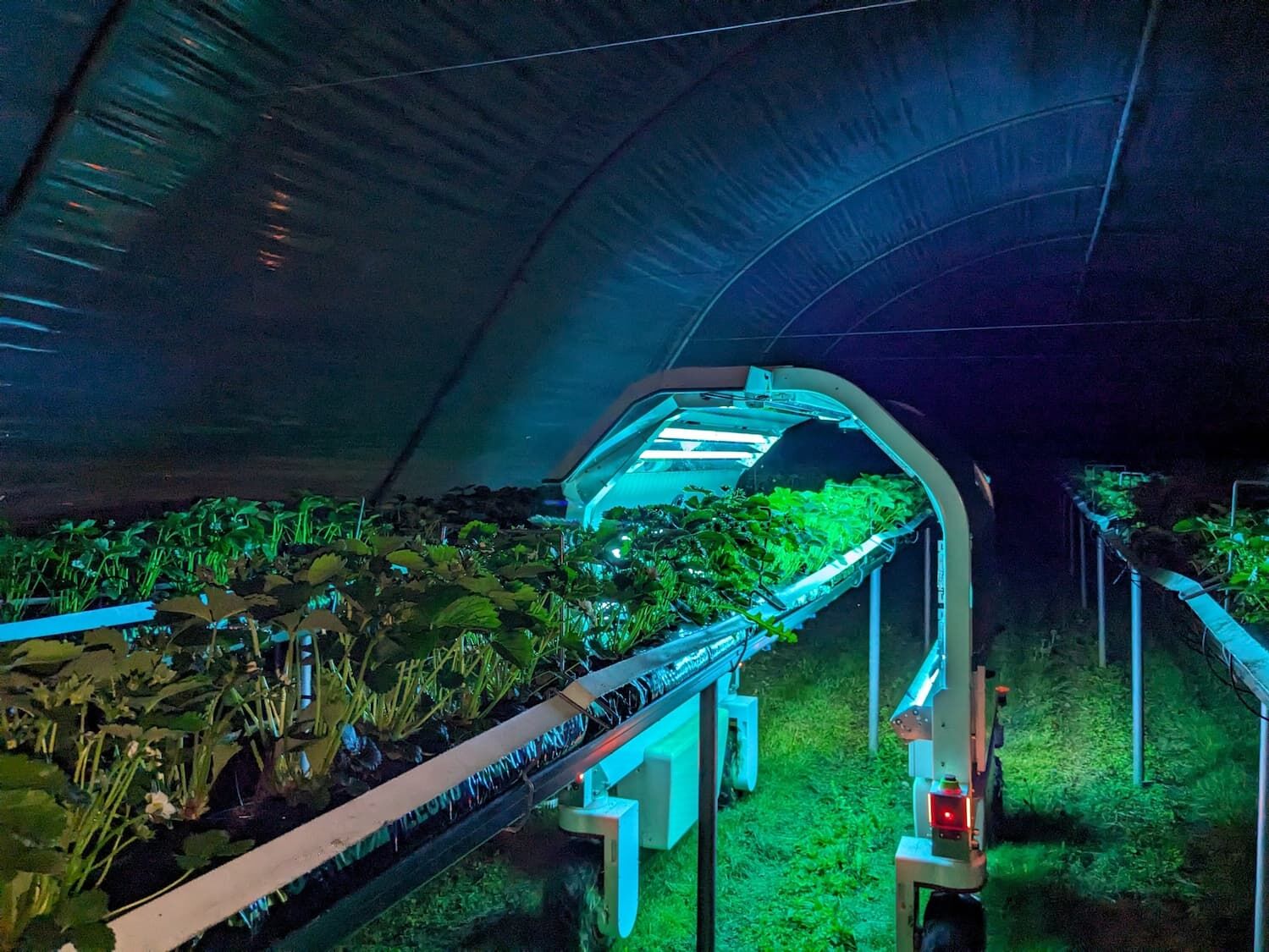 Modułowe roboty Saga Robotics do pracy w polu nocą