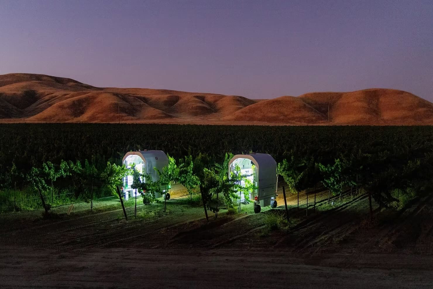 Autonomiczne roboty do pracy w rolnictwie Saga Robotics