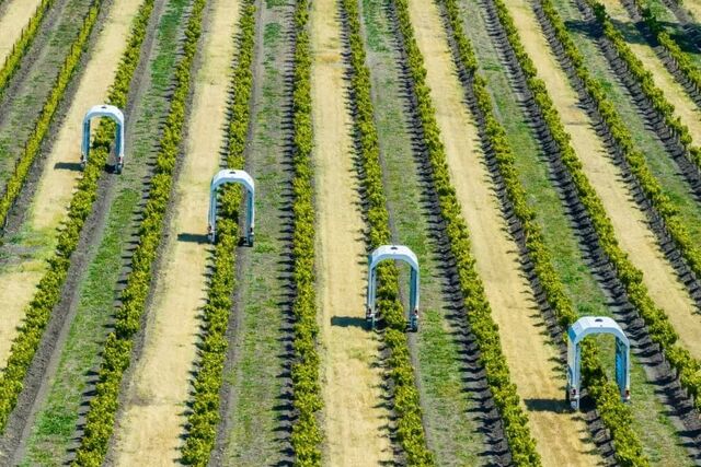 Autonomiczne roboty dla zrównoważonego rolnictwa Thorvald