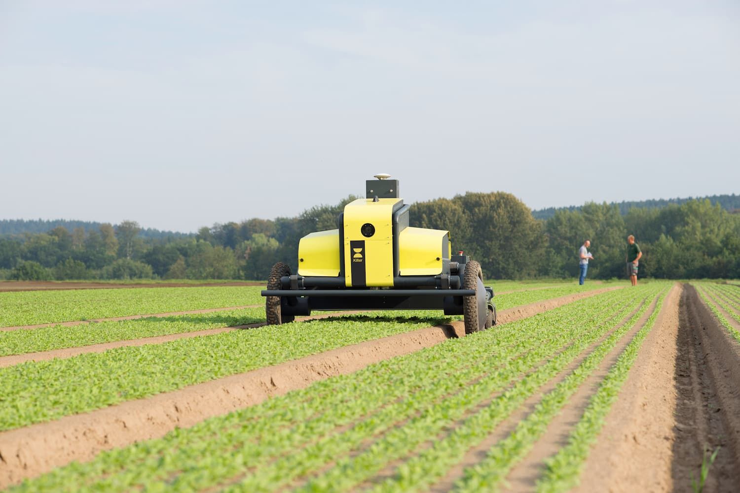 Robot rolniczy Kilter AX-1 wspierany przez AI